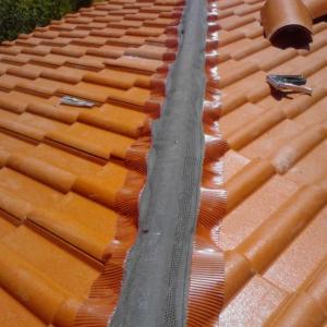 Снимка  от Ignat Ignatov