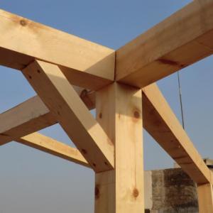 Снимка  от Ignat Ignatov