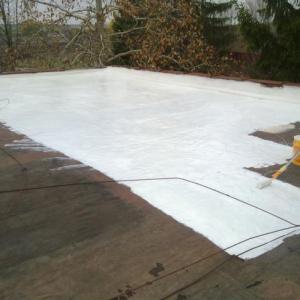 Снимка  от Тодор Тодоров