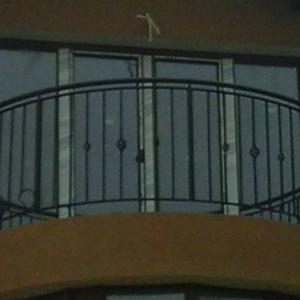 Снимка  от Иван Шамлиев