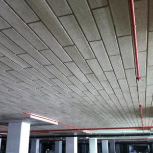 Снимка  от Мартин Господинов