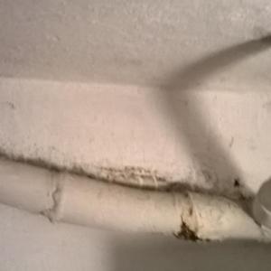 Снимка  от Стоил Кайряков