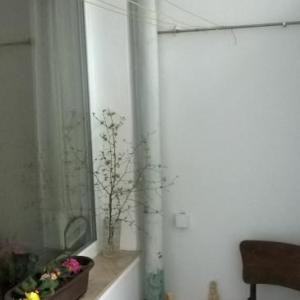 Снимка  от Стоил Кайряков