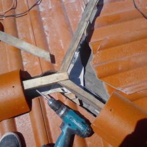 Снимка  от Ignat Ignatov