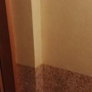 Копринена мазилка, Варна