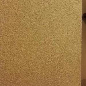 Копринена мазилка, Варна