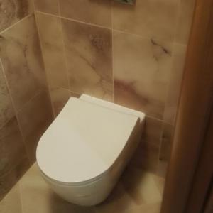 Ремонт на тоалетна гр. Варна