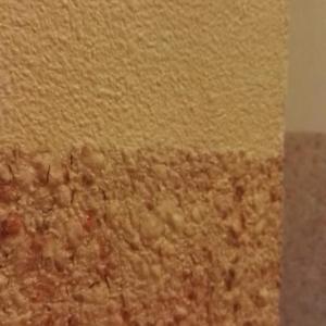 Копринена мазилка, Варна