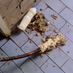 Снимка  от Иво Григоров