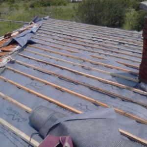 Снимка  от Ignat Ignatov