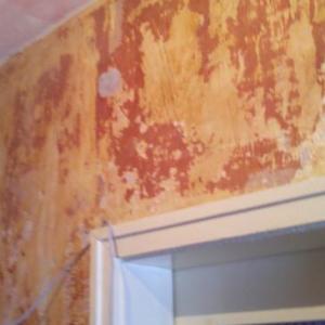 Снимка  от Plamen Popov