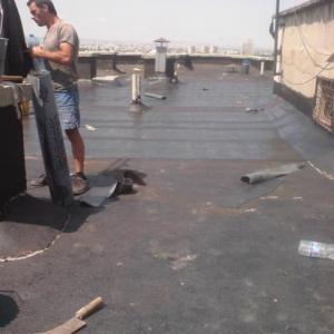 Снимка  от Васил Петров