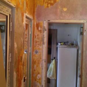 Снимка  от Plamen Popov