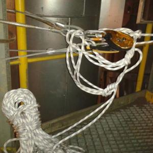 Снимка  от Димитър Цинов