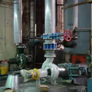 Снимка  от Красимир Стойков