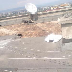 Снимка  от Васил Петров