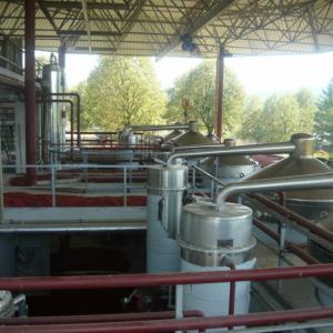 Снимка  от Красимир Стойков