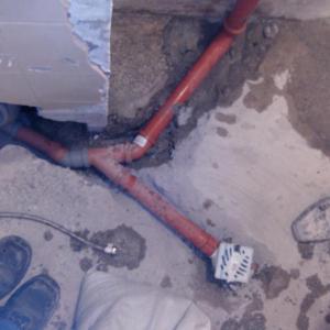 Снимка  от Асен Асенов