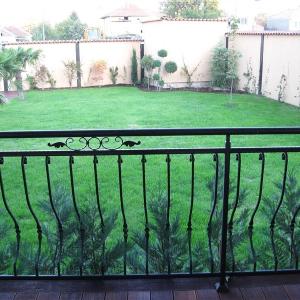 Снимка  от Любомир ПЕТРОВ