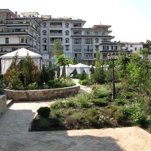 Снимка  от Любомир ПЕТРОВ