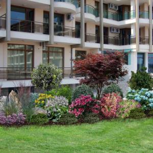 Снимка  от Любомир ПЕТРОВ