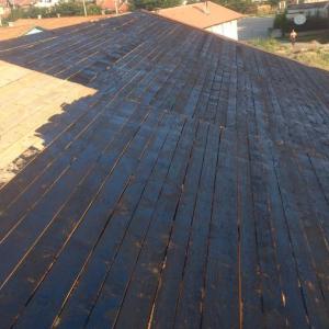 Снимка  от Трайчо Трайков