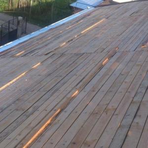 Снимка  от Трайчо Трайков