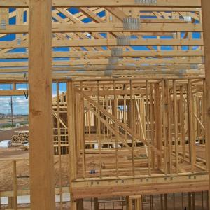 Снимка  от николай крумов