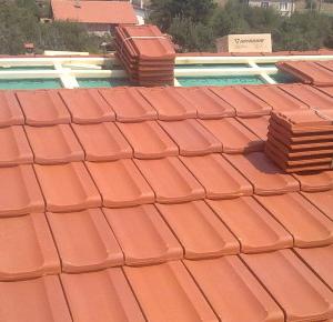 Снимка  от Трайчо Трайков