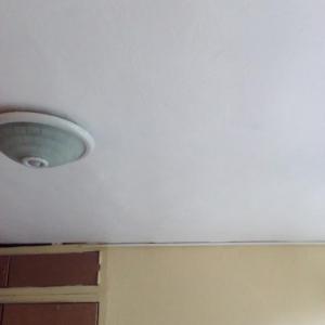 Снимка  от Илия Пашов