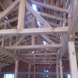 Снимка  от Трайчо Трайков