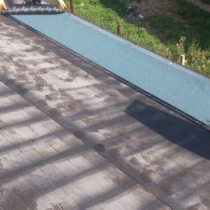 Снимка  от Трайчо Трайков