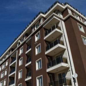 Снимка  от Елена Беширова