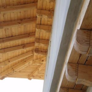 Снимка  от Георги Георгиев