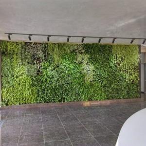 Вертикална градина в София