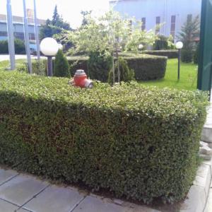 Снимка  от Добрин Захариев