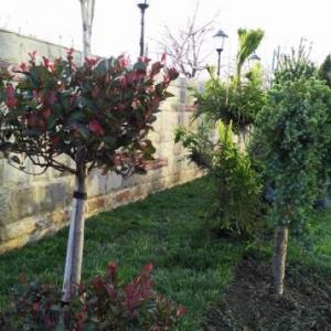 Снимка  от Добрин Захариев