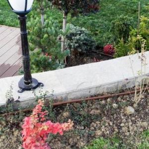 Снимка  от Добрин Захариев