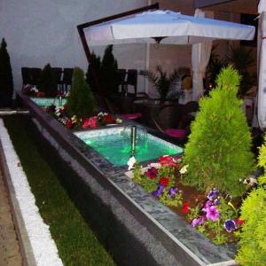 Снимка  от Мирослав Димитров