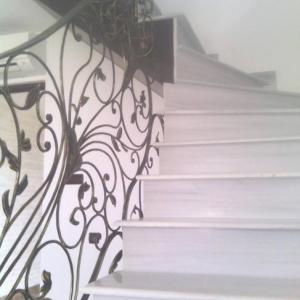 Снимка  от Веселин Рушанов