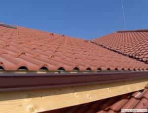 Снимка  от Трендафил Трендафилов