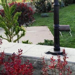 Снимка  от Добрин Захариев