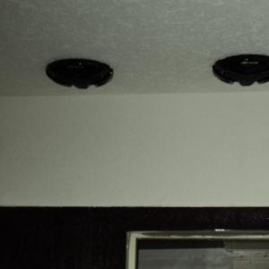 Снимка  от Свилен Таушанов