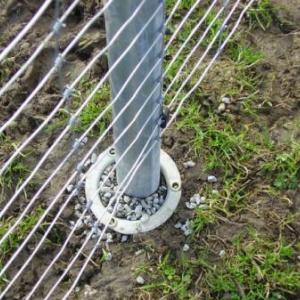 Снимка  от Димитър Гивечев