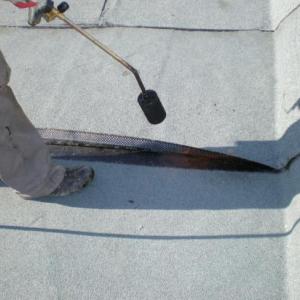 Снимка  от Божидар Кочев