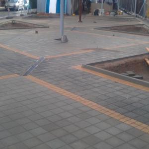 Снимка  от ФИДОС ЛАЗАРКОВ