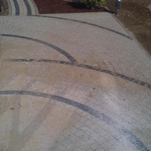 Снимка  от ФИДОС ЛАЗАРКОВ