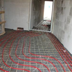 Снимка  от Цветан Добрев