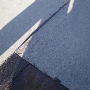 Снимка  от Божидар Кочев