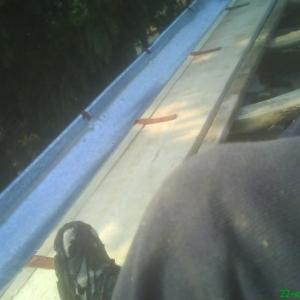 Снимка  от Петър Илиев